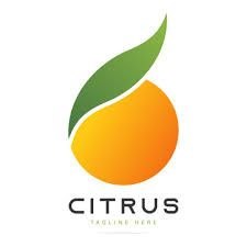 Bybit